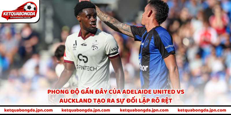 Phong độ gần đây của Adelaide United vs Auckland tạo ra sự đối lập rõ rệt